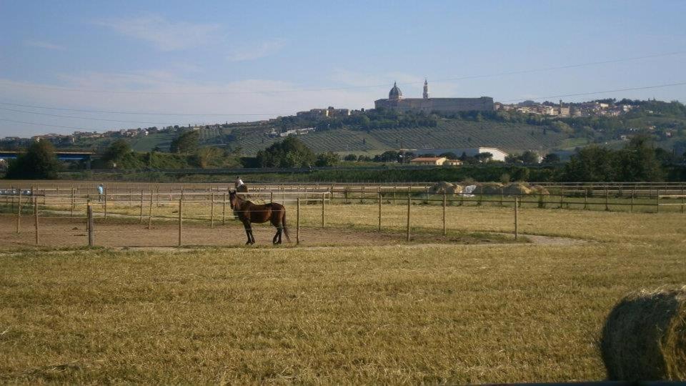 Gasthaus Conero Ranch Porto Recanati Exterior foto