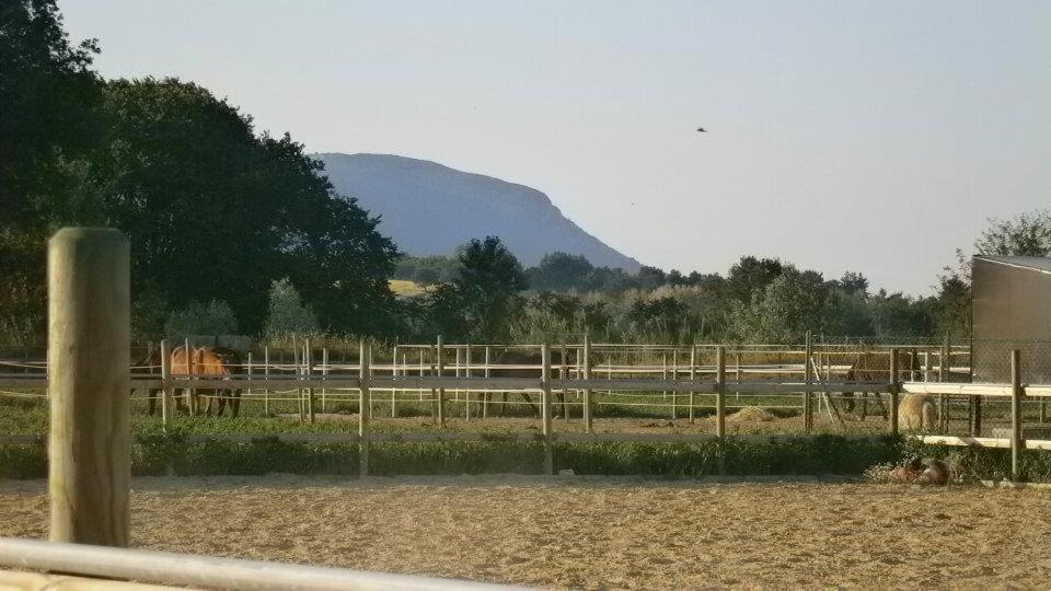 Gasthaus Conero Ranch Porto Recanati Exterior foto