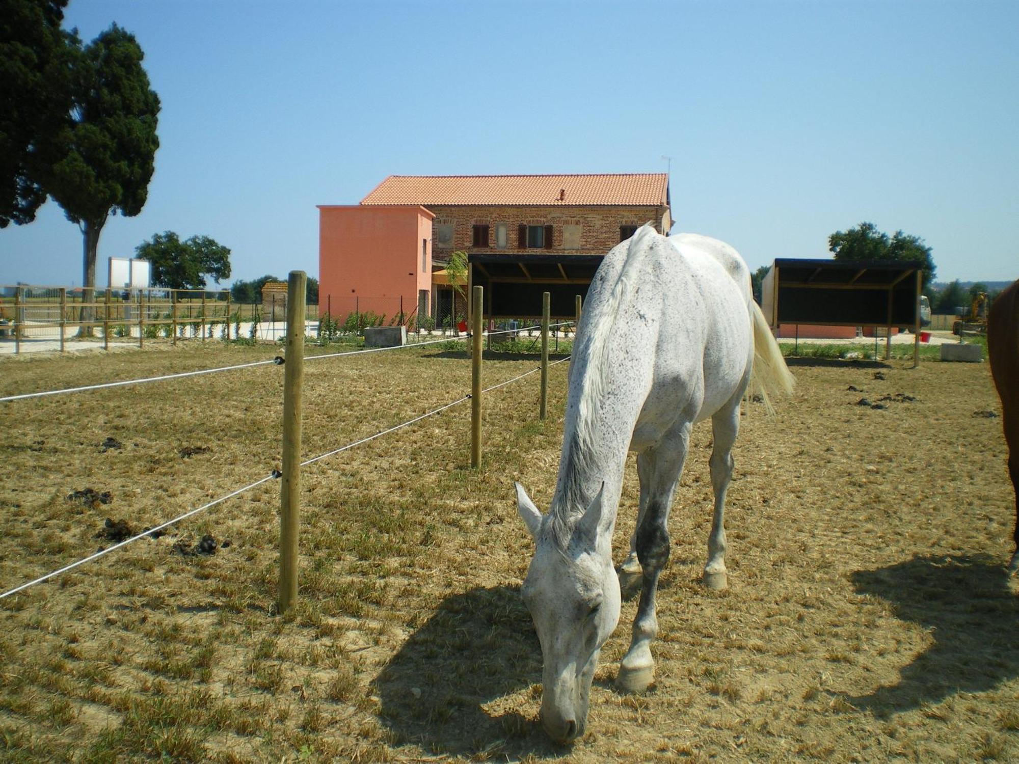 Gasthaus Conero Ranch Porto Recanati Exterior foto