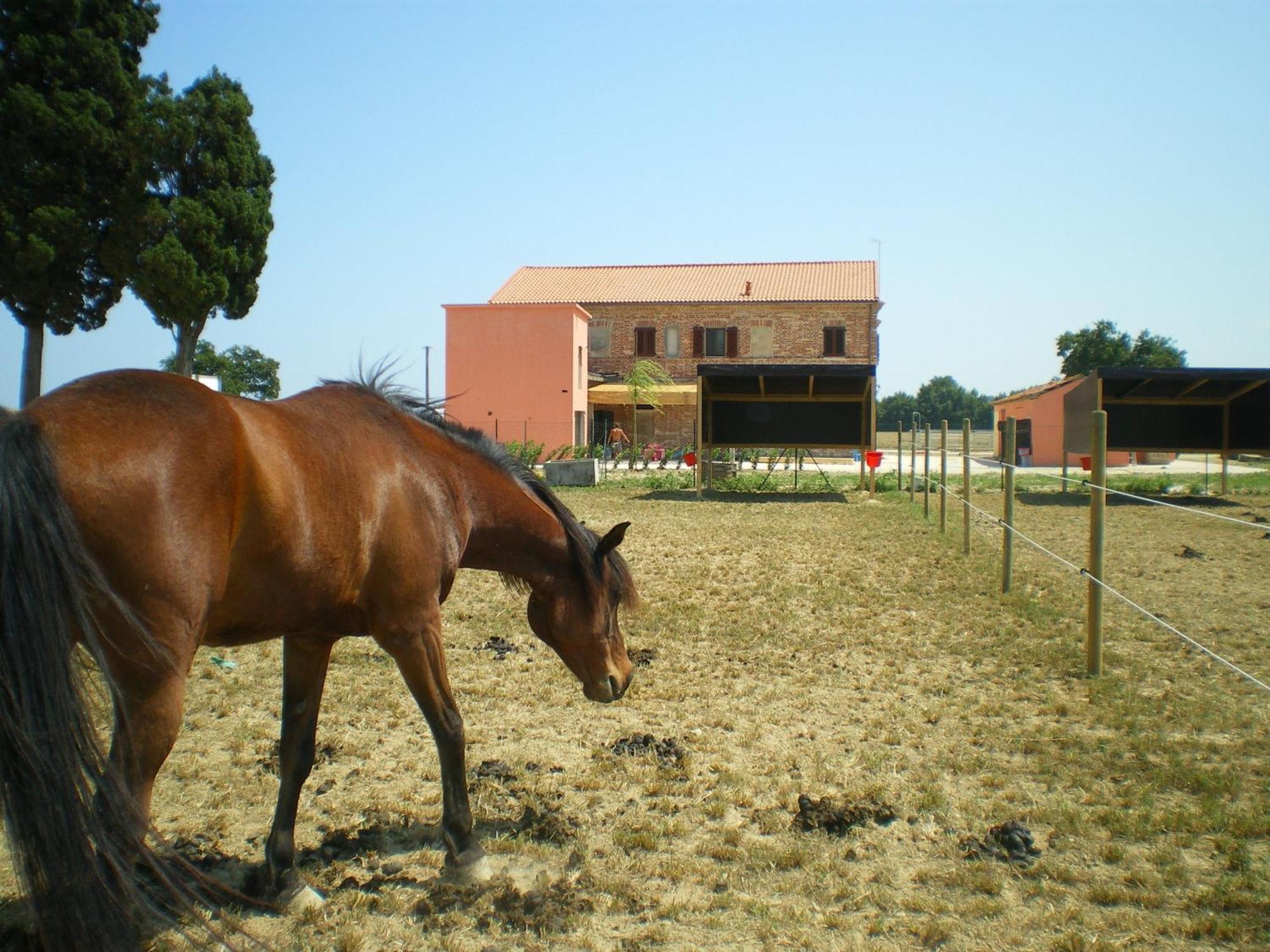 Gasthaus Conero Ranch Porto Recanati Exterior foto