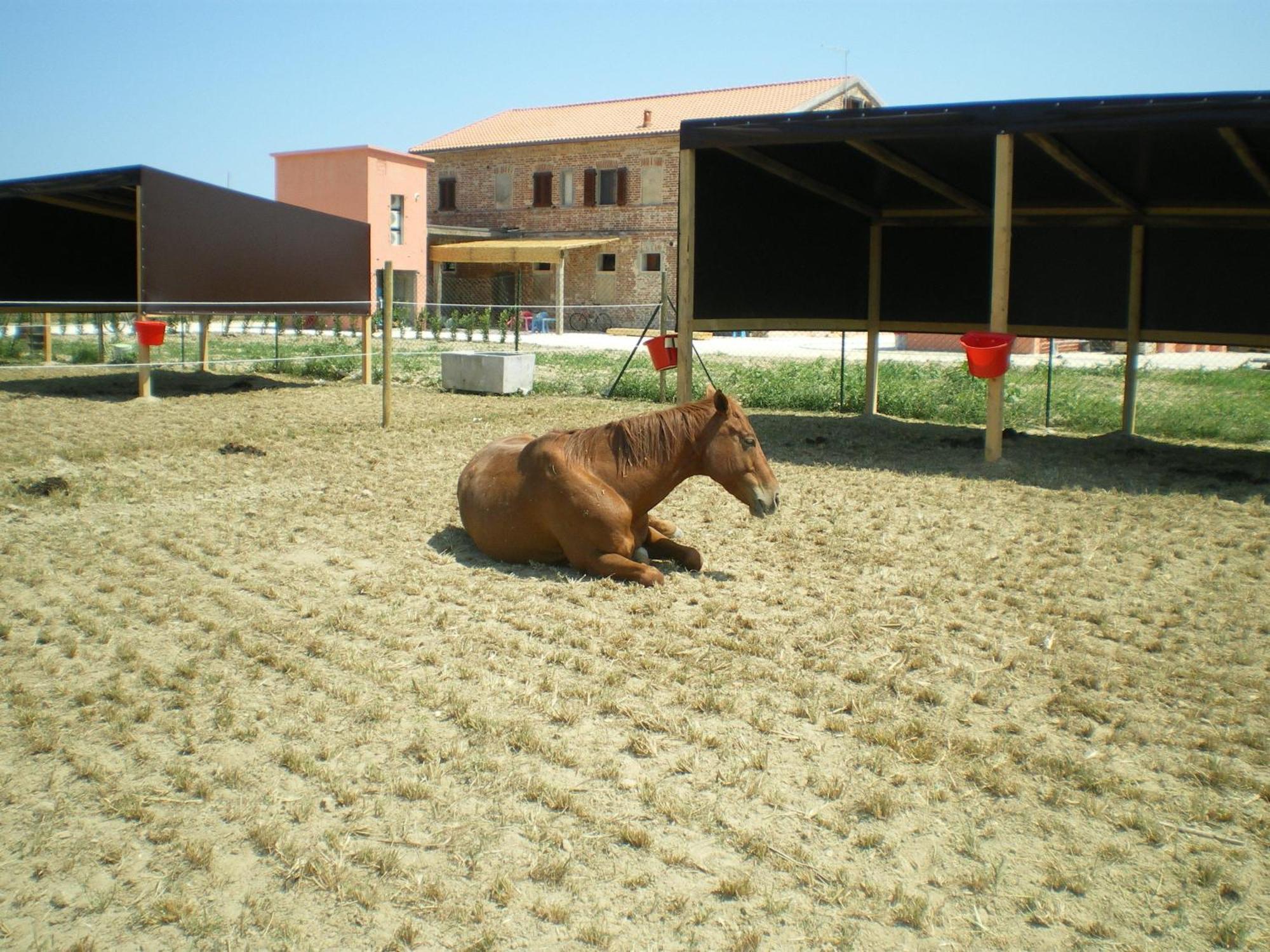Gasthaus Conero Ranch Porto Recanati Exterior foto