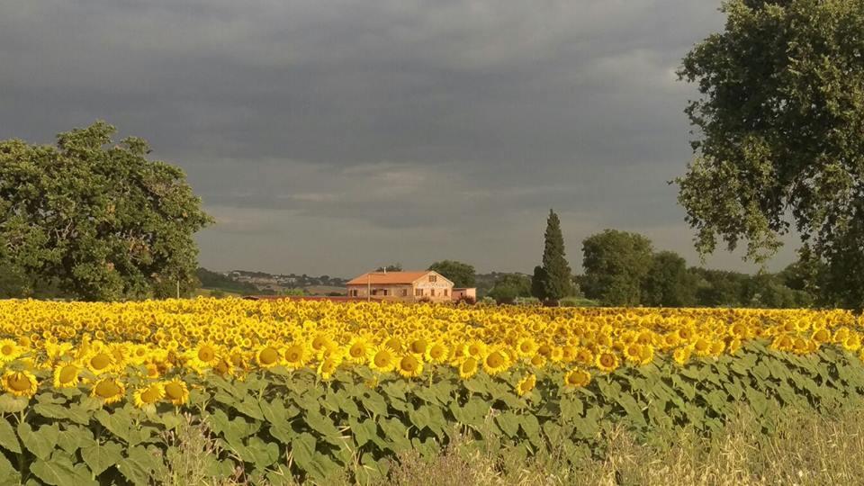 Gasthaus Conero Ranch Porto Recanati Exterior foto